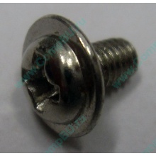 Компьютерный винт "малый" PW-M3x6mm (Уссурийск)