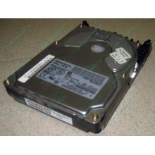 Жесткий диск 18.4Gb Quantum Atlas 10K III U160 SCSI (Уссурийск)