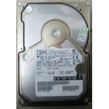 Жесткий диск 18.2Gb IBM Ultrastar DDYS-T18350 Ultra3 SCSI (Уссурийск)