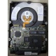 Жесткий диск 18.2Gb IBM Ultrastar DDYS-T18350 Ultra3 SCSI (Уссурийск)