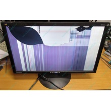 ViewSonic VA2413WM-2 разбитая матрица (Уссурийск)