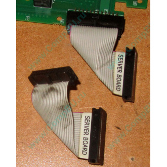 6017B0045701 Шлейф 24 pin для Intel C74974-401 T0043401-B01 корпуса SR2400 (Уссурийск)