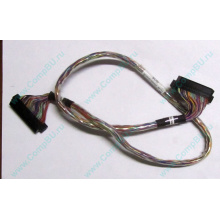 6017B0045301 в Уссурийске, 68pin SCSI кабель 26.5" / 57cm для корзины HDD Intel SR2400 (Уссурийск)