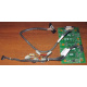 Корзина 59P5159 24P2578 IBM X225 / X226 / X235 / X255 / X266 xSeries servers FRU59P5159 FRU24P2578 (Уссурийск)
