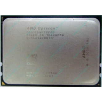 AMD Opteron 6128 OS6128WKT8EGO (Уссурийск)