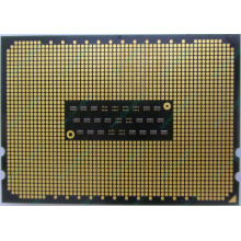AMD Opteron 6128 OS6128WKT8EGO (Уссурийск)