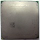 Процессор AMD Athlon 64300+ (1.8GHz) ADA3000IAA4CN s.AM2 (Уссурийск)