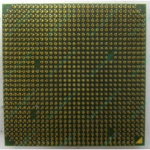 Процессор AMD Sempron 3000+ (1.6GHz) SDA3000IAA3CN s.AM2 (Уссурийск)
