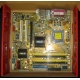 Материнская плата Asus P5L-VM 1394 s.775 (Уссурийск)